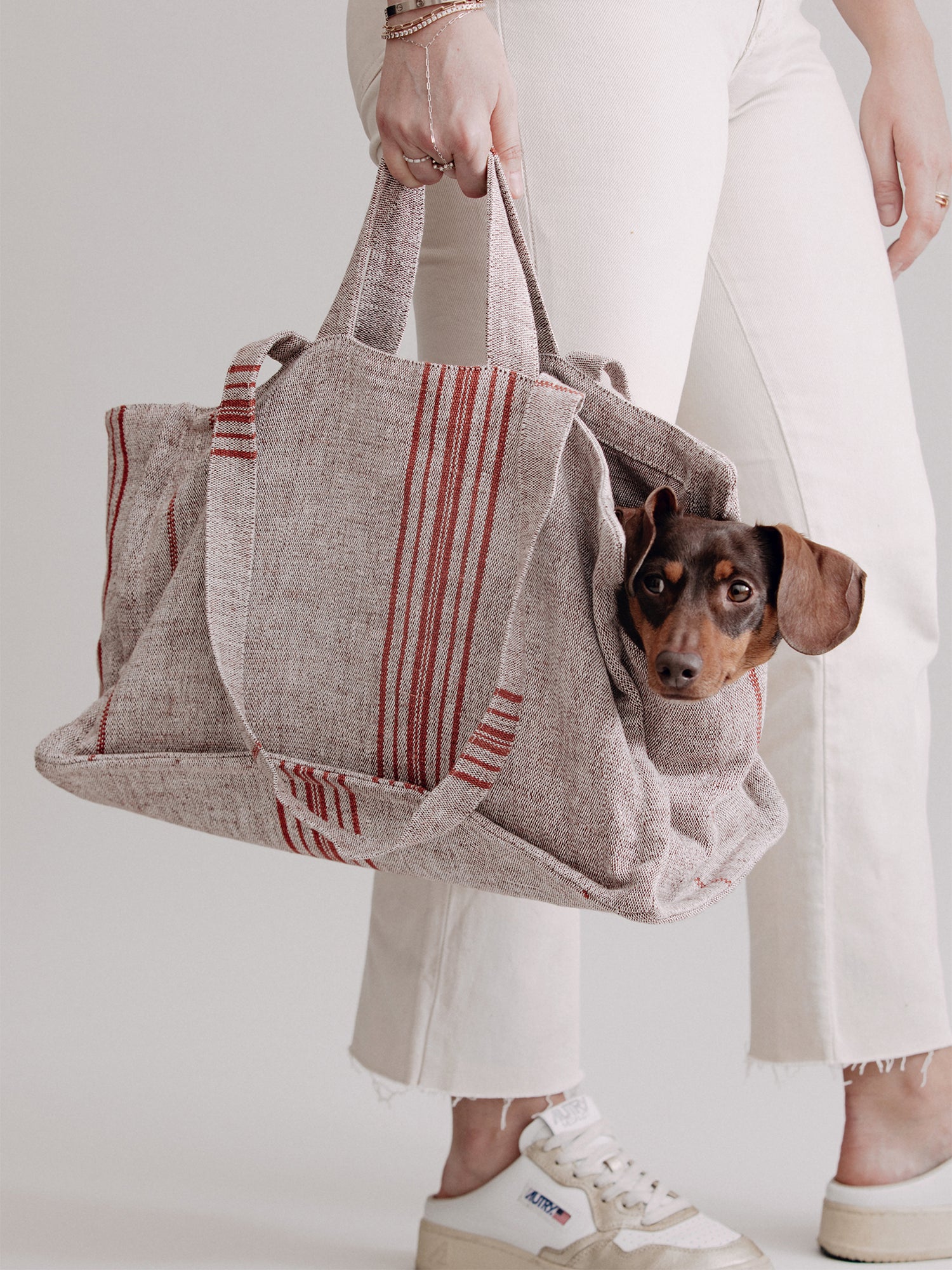 Pintu Verano Dog Shopper - Cannes