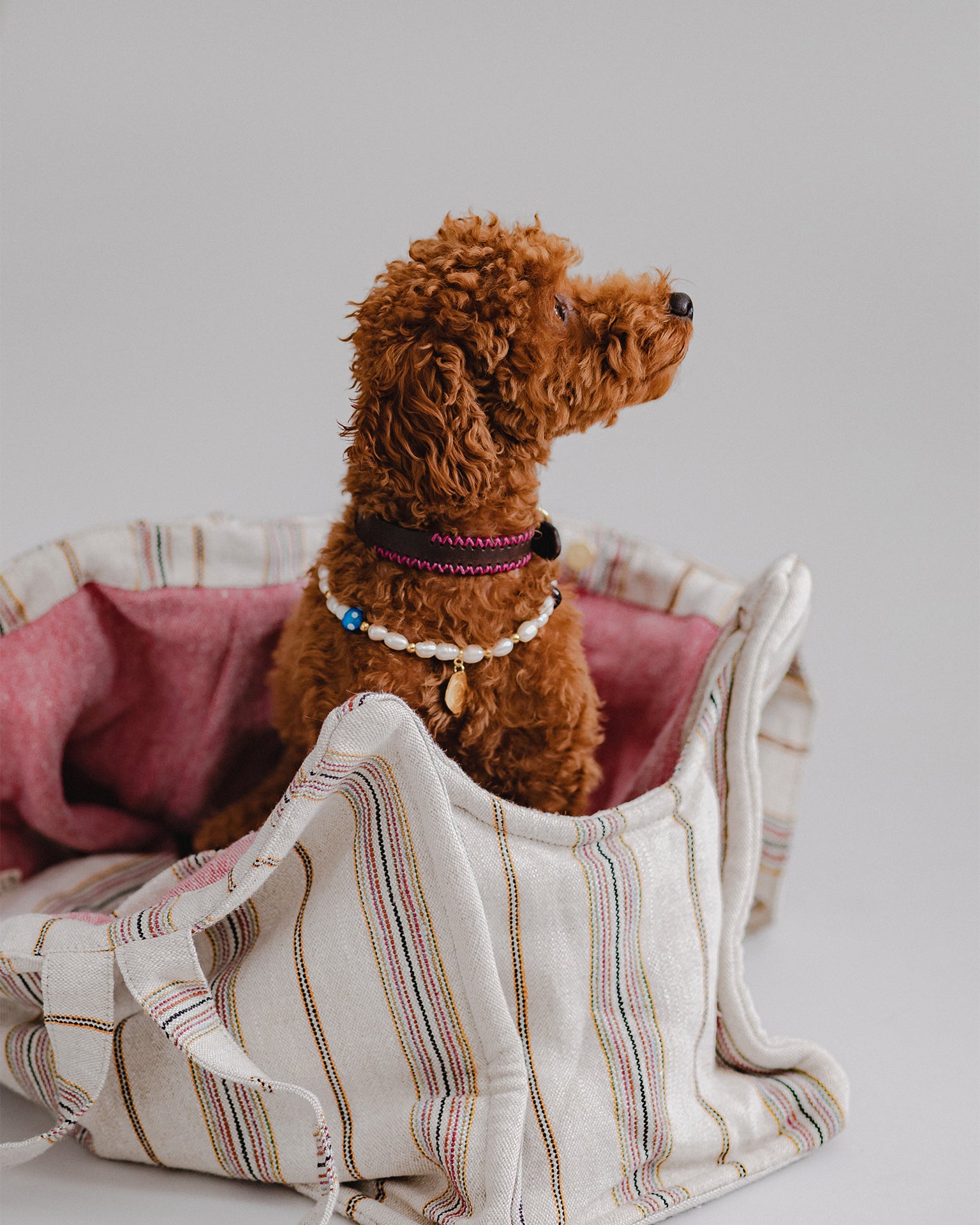 Pintu Verano Dog Shopper - Ibiza