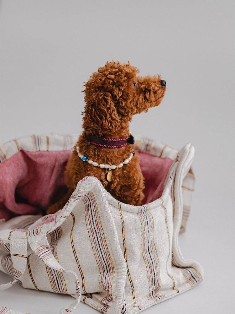 Pintu Verano Dog Shopper - Ibiza