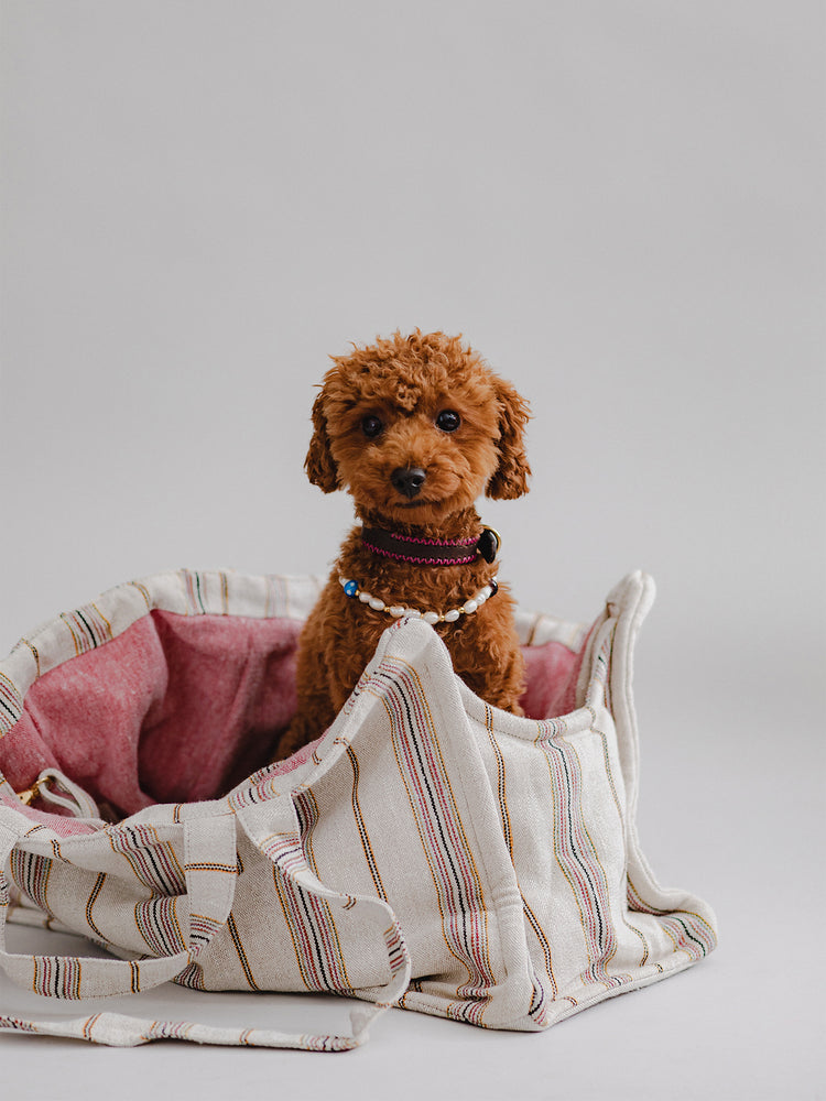 Pintu Verano Dog Shopper - Ibiza