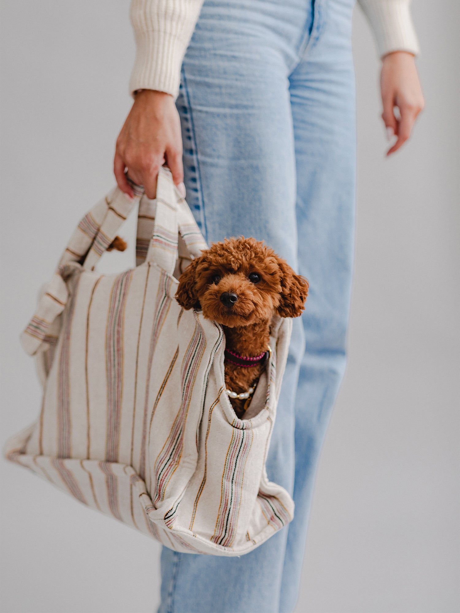Pintu Verano Dog Shopper - Ibiza