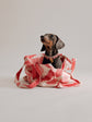 Verano Dog Shopper  - Palma