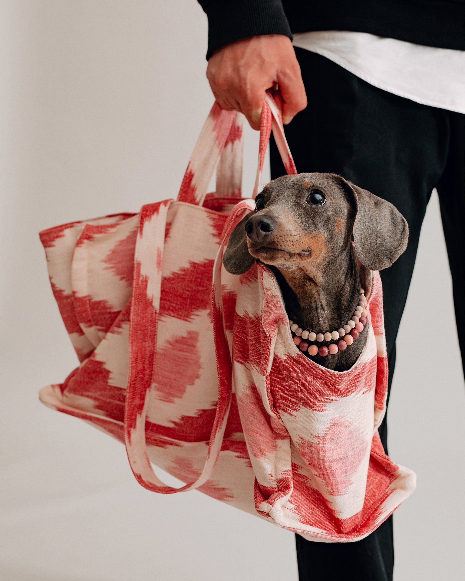 Verano Dog Shopper  - Palma