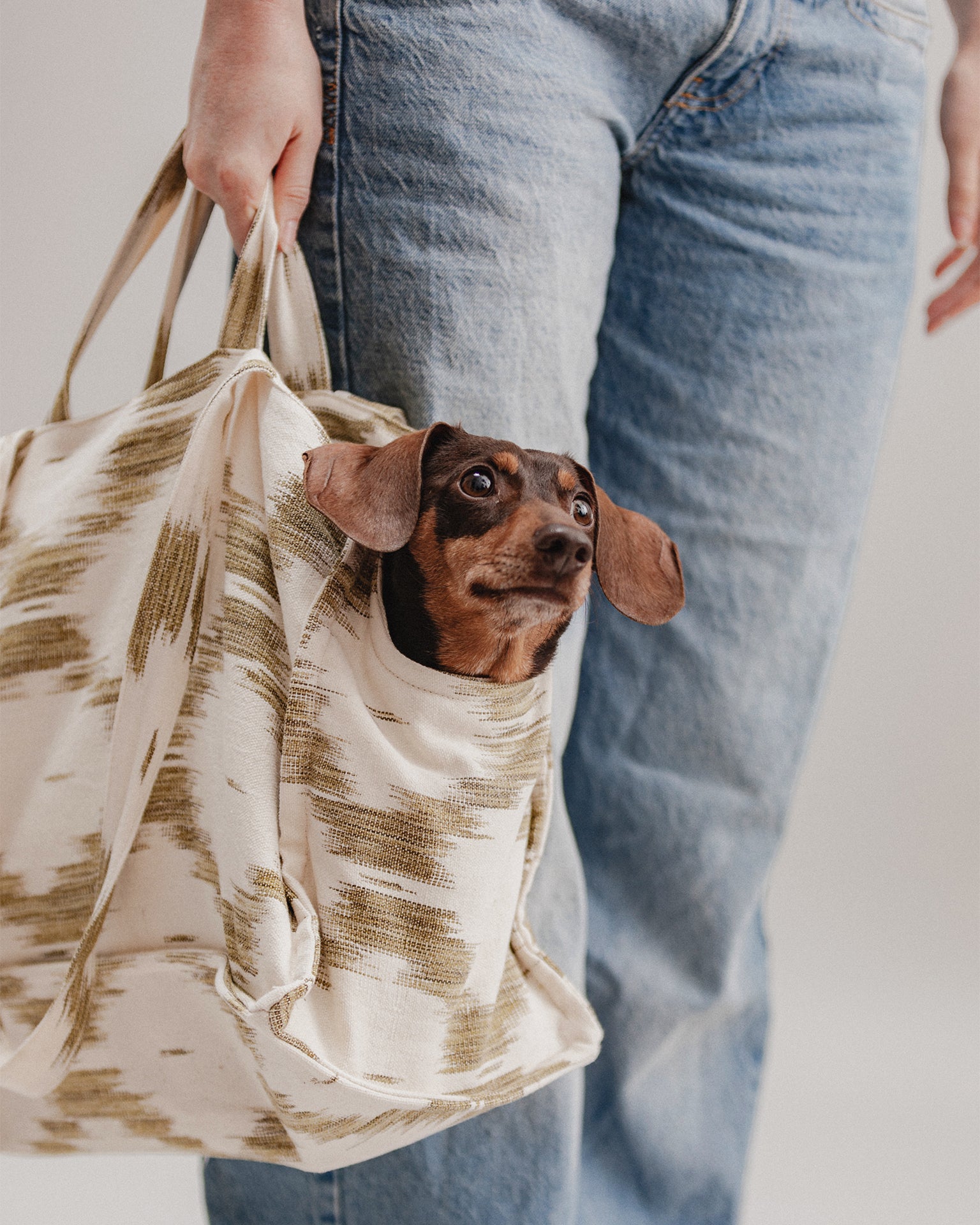 Verano Dog Shopper  - Palma