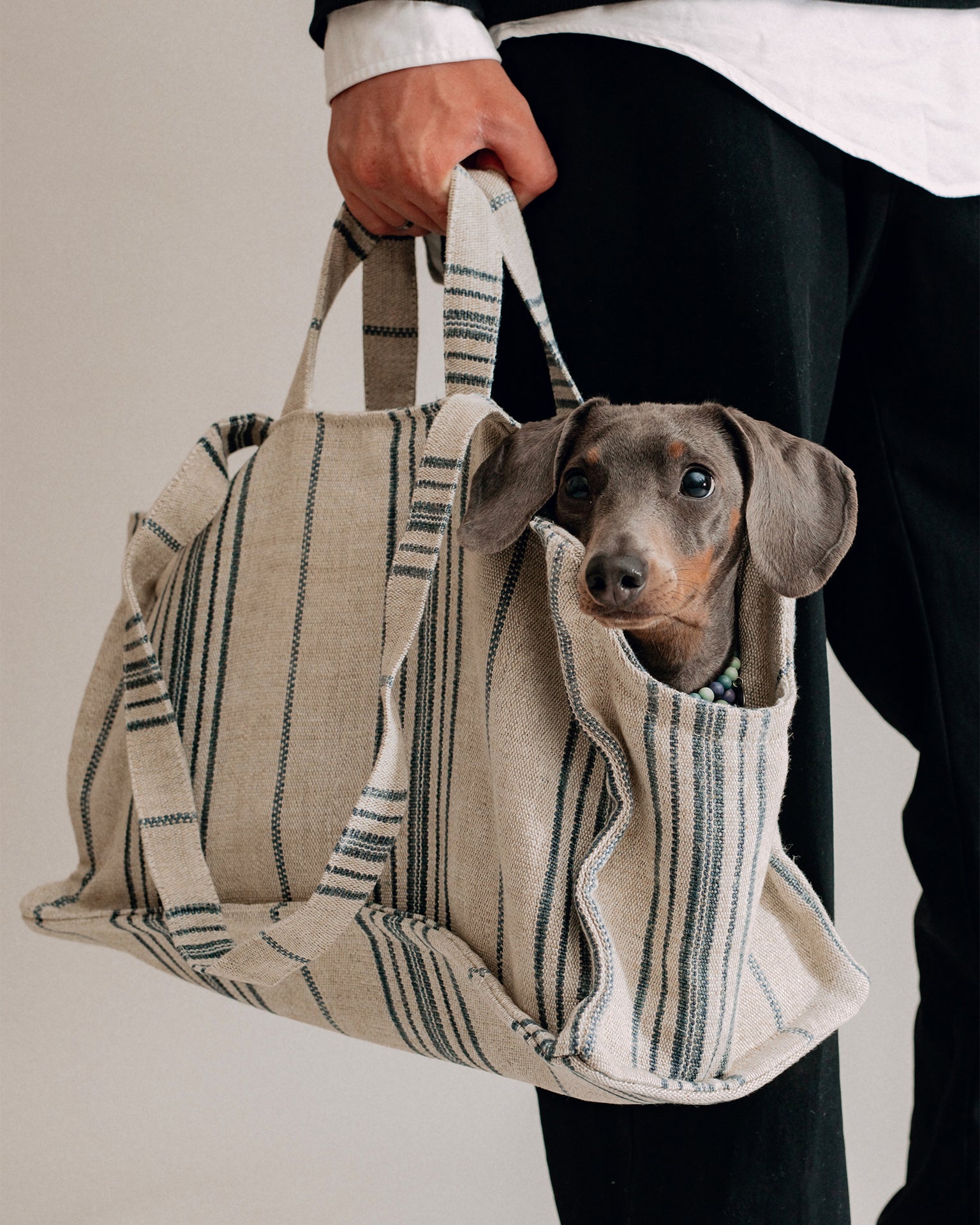 Pintu Verano Dog Shopper - Portofino