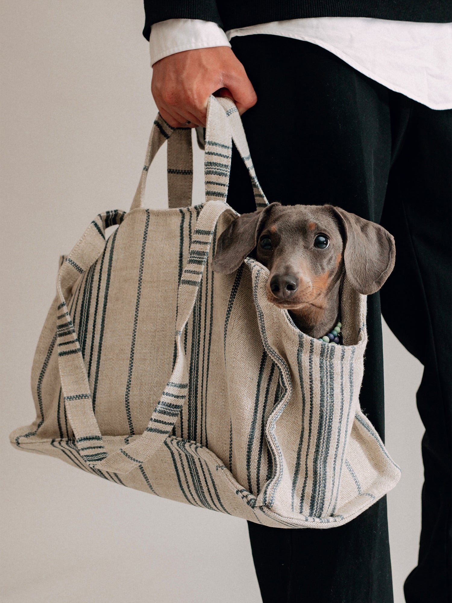 Pintu Verano Dog Shopper - Portofino