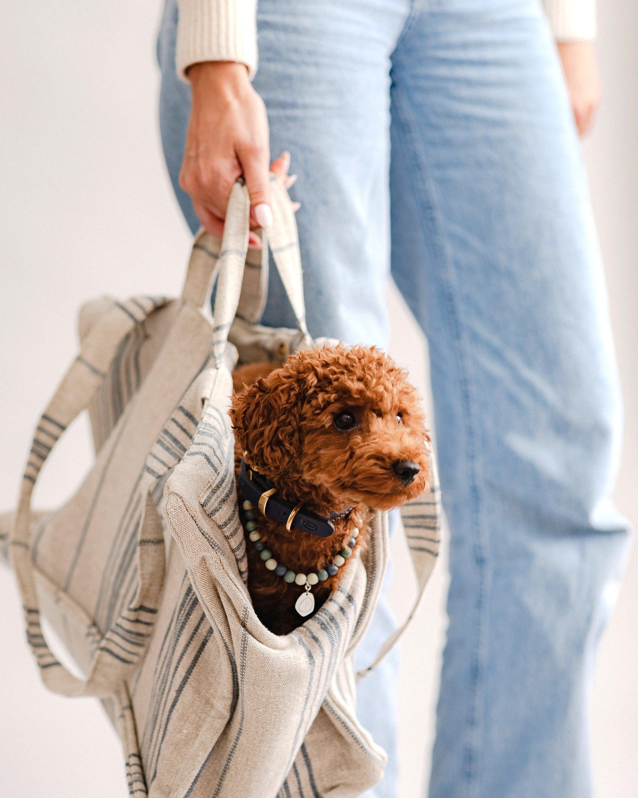Pintu Verano Dog Shopper - Portofino