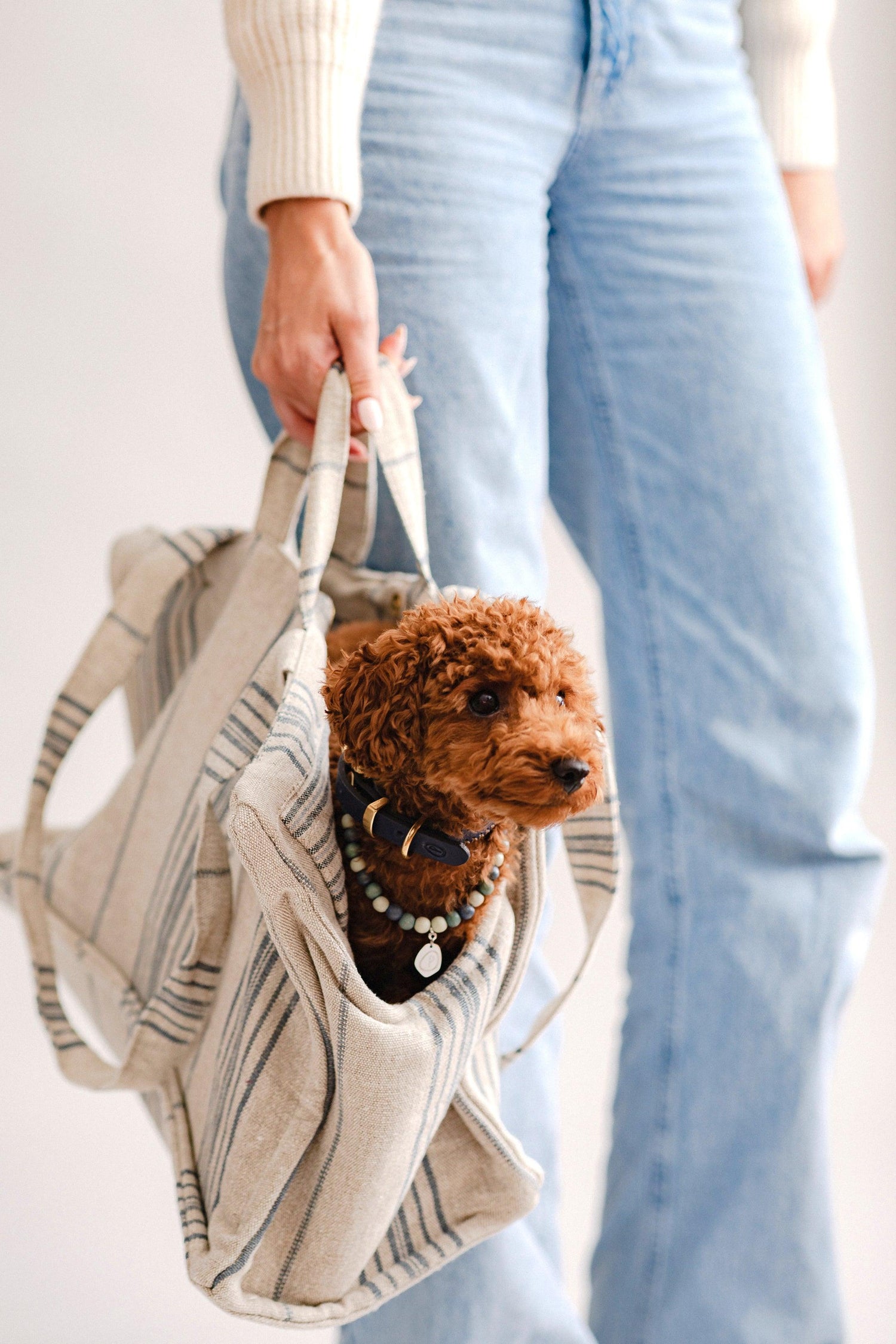 Verano Dog Shopper  - Portofino - Blue Stripes - Pintu