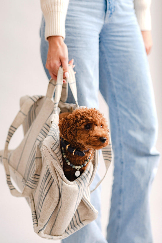 Pintu Verano Dog Shopper - Portofino