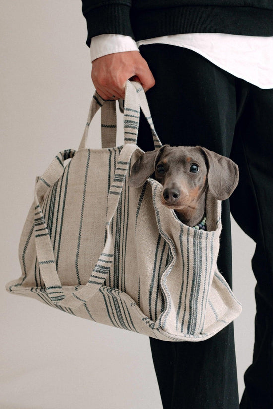 Verano Dog Shopper  - Portofino - Blue/Stripes - Pintu