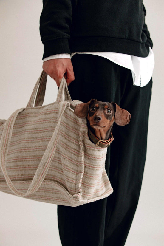 Verano Dog Shopper  - Portofino - Red & Green Stripes - Pintu
