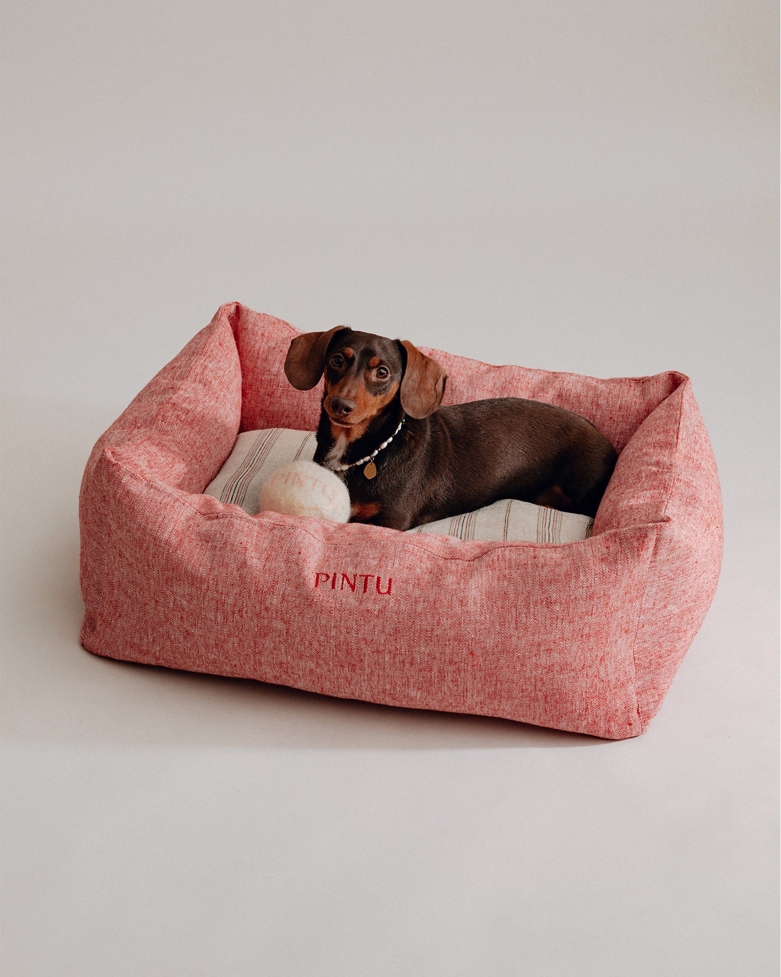Pintu Wool Ball Toy
