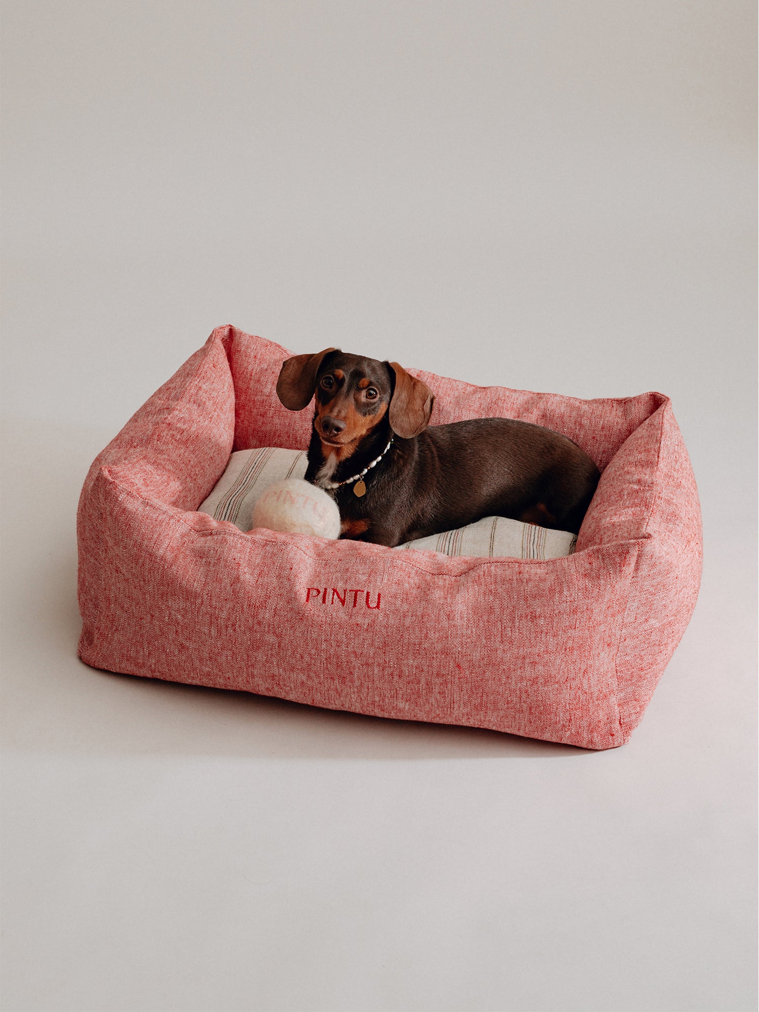 Pintu Wool Ball Toy