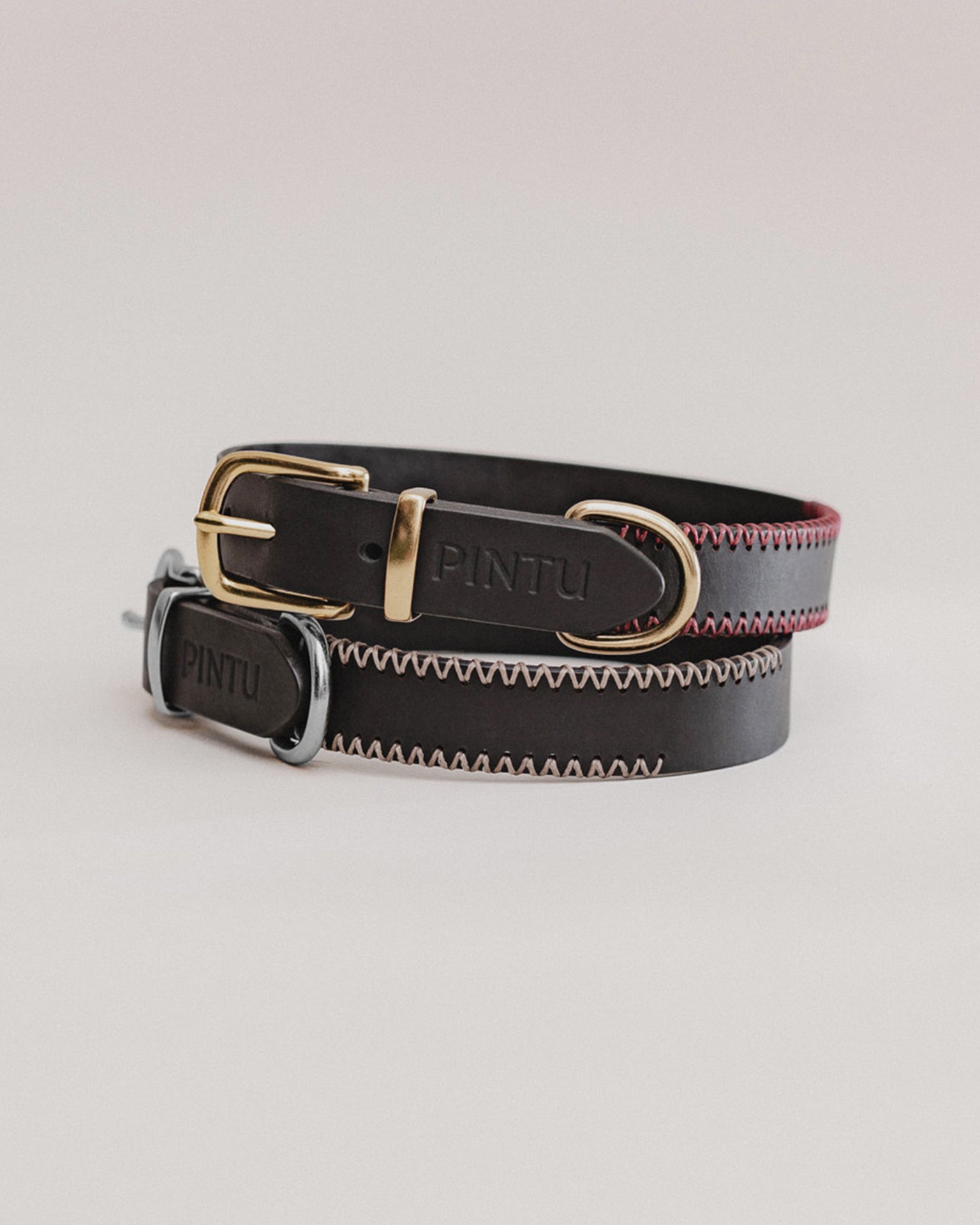 Pintu Dog Collar Monte - Black
