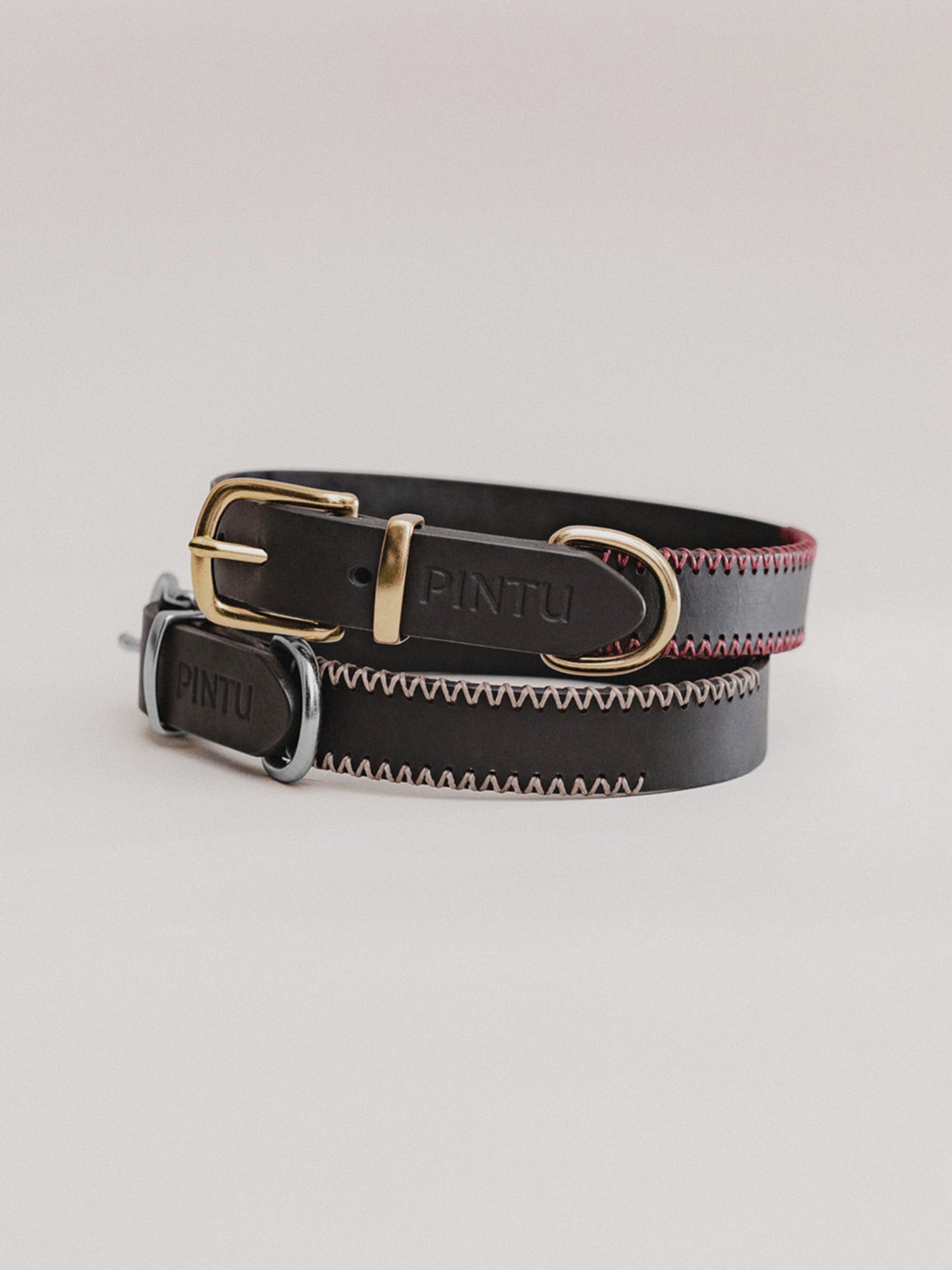 Pintu Dog Collar Monte - Black
