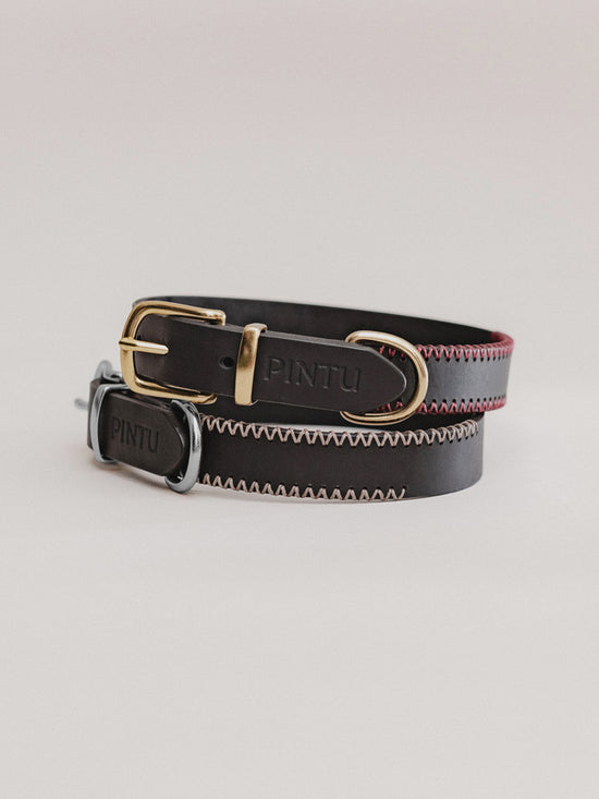 Pintu Dog Collar Monte - Black