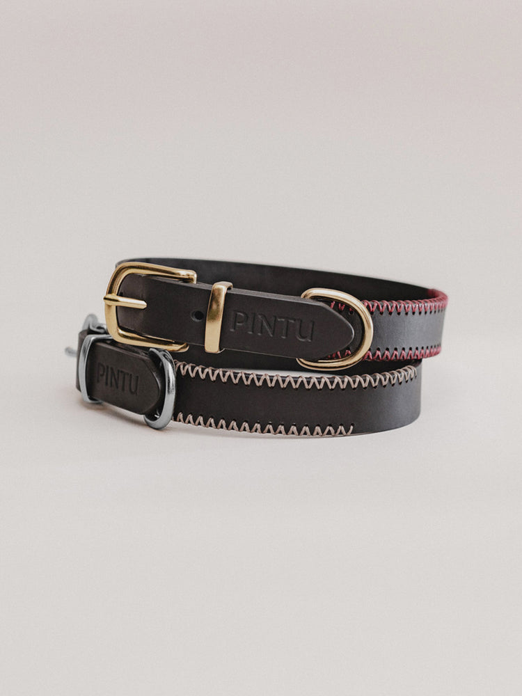 Pintu Dog Collar Monte - Black