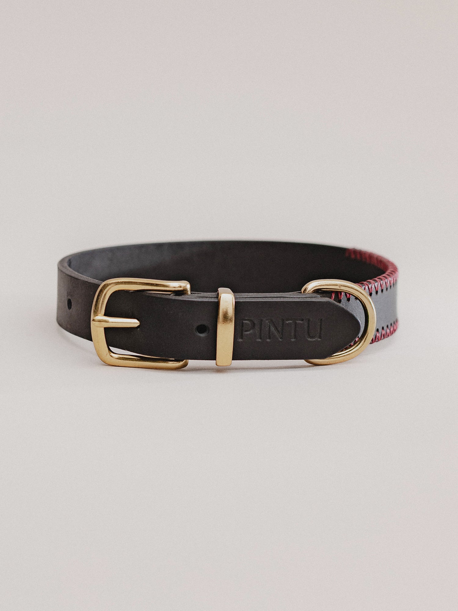 Pintu Dog Collar Monte - Black/Bordeaux - Brass