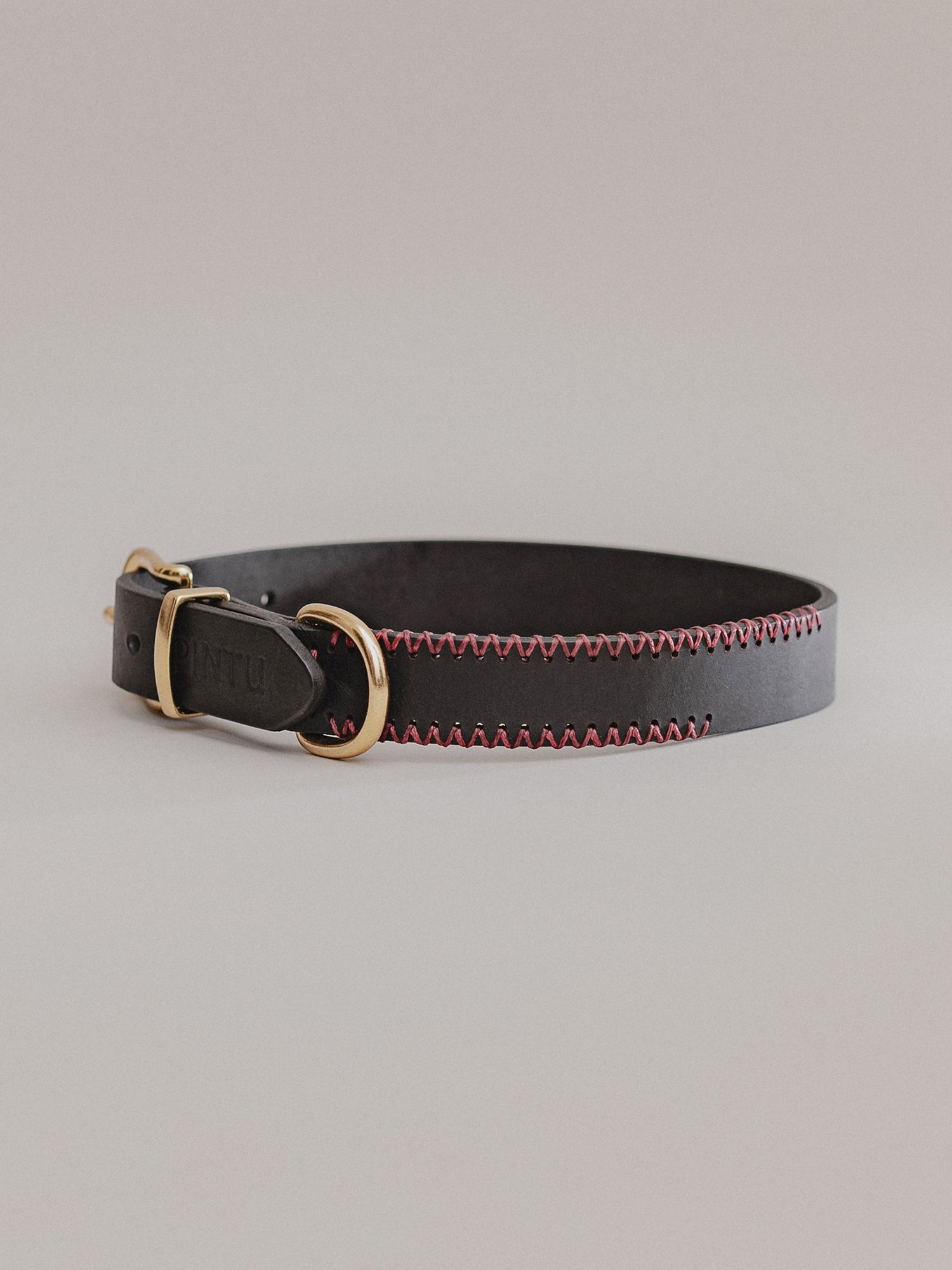 Pintu Dog Collar Monte - Black/Bordeaux - Brass