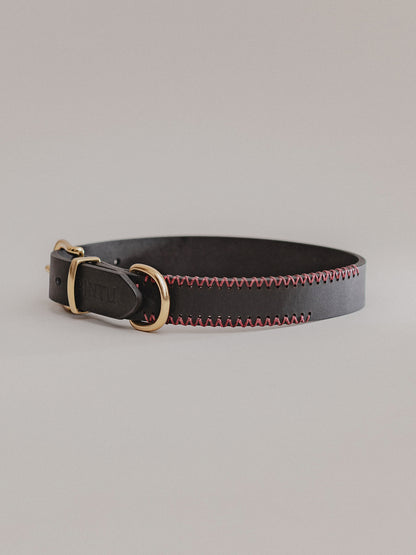 Pintu Dog Collar Monte - Black/Bordeaux - Brass
