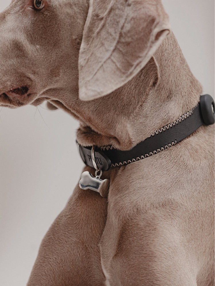 Pintu Dog Collar Monte - Black/Taupe - Stainless Steel