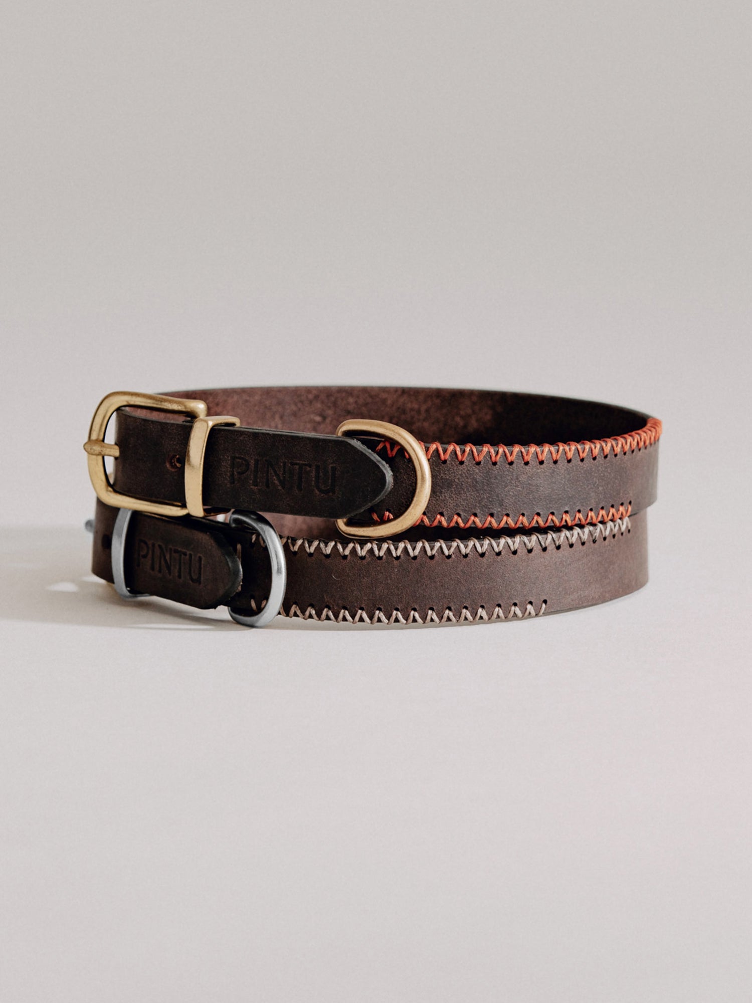 Pintu Dog Collar Porthos - Chocolate