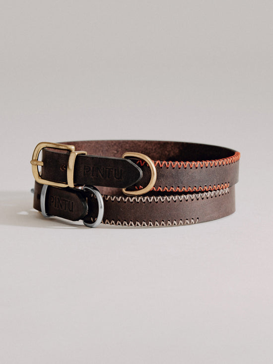 Pintu Dog Collar Porthos - Chocolate