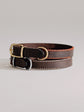 Pintu Dog Collar Porthos - Chocolate