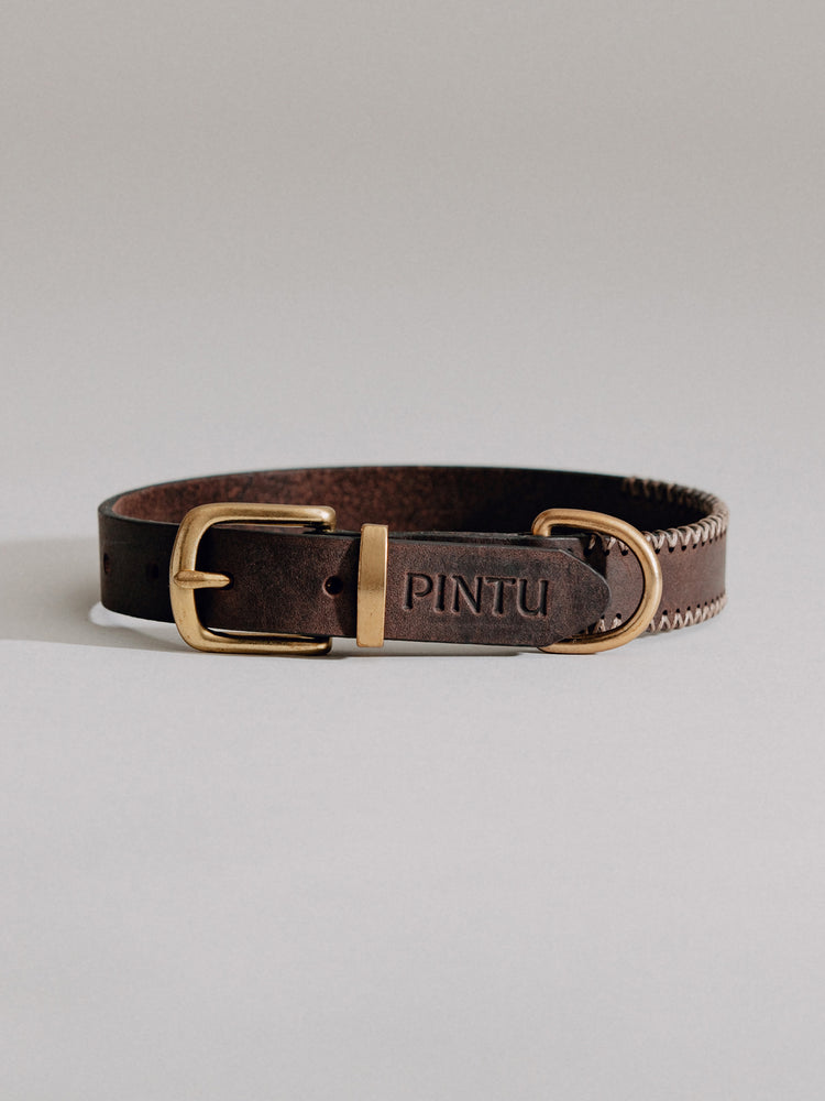 Pintu Dog Collar Porthos - Chocolate/Grey - Brass