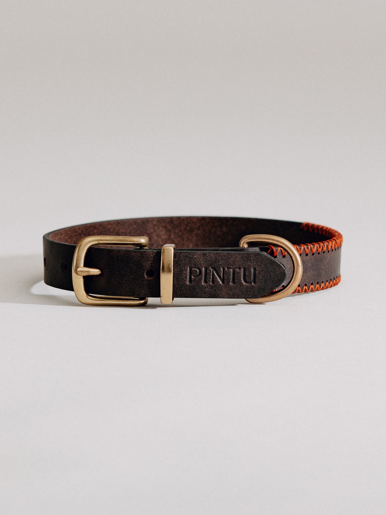 Pintu Dog Collar Porthos - Chocolate/Orange - Brass