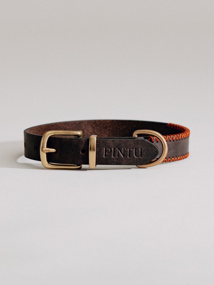 Pintu Dog Collar Porthos - Chocolate/Orange - Brass