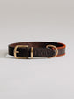Pintu Dog Collar Porthos - Chocolate/Orange - Brass