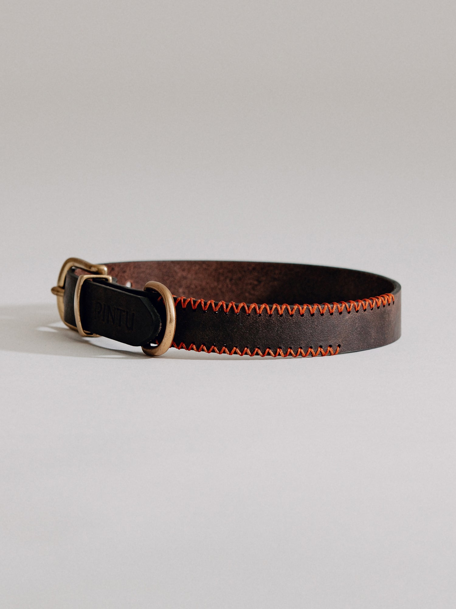 Pintu Dog Collar Porthos - Chocolate/Orange - Brass