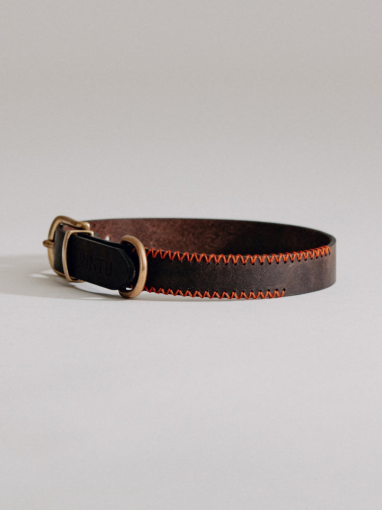 Pintu Dog Collar Porthos - Chocolate/Orange - Brass