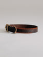 Pintu Dog Collar Porthos - Chocolate/Orange - Brass