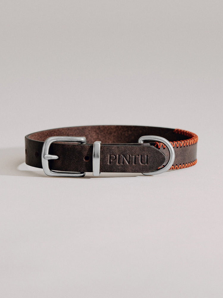 Pintu Dog Collar Porthos - Chocolate/Orange - Stainless Steel