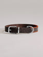 Pintu Dog Collar Porthos - Chocolate/Orange - Stainless Steel