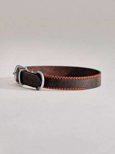 Pintu Dog Collar Porthos - Chocolate/Orange - Stainless Steel