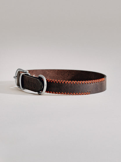 Pintu Dog Collar Porthos - Chocolate/Orange - Stainless Steel