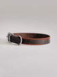 Pintu Dog Collar Porthos - Chocolate/Orange - Stainless Steel
