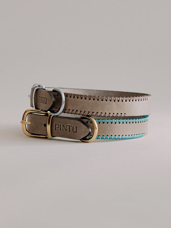 Pintu Dog Collar Monte - Grey