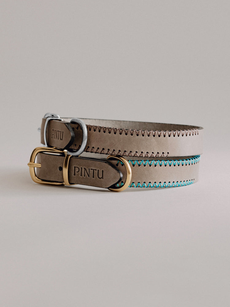 Pintu Dog Collar Monte - Grey
