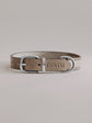 Pintu Dog Collar Monte - Grey/Brown - Stainless Steel