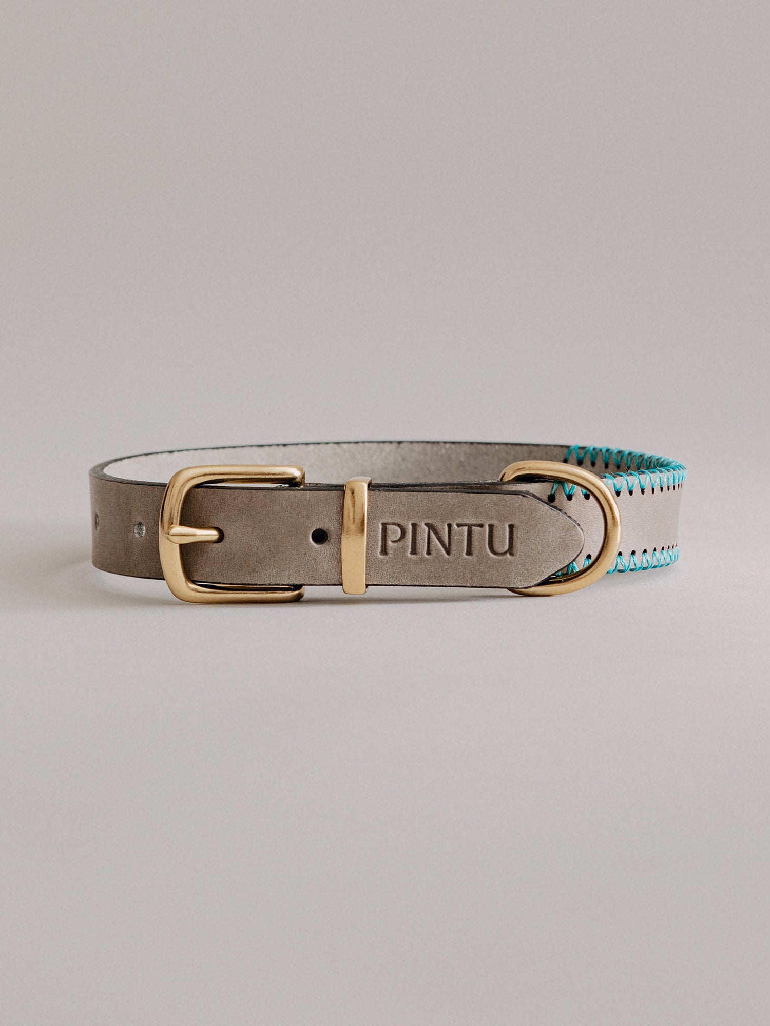 Pintu Dog Collar Monte - Grey/Turquoise - Brass