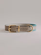 Pintu Dog Collar Monte - Grey/Turquoise - Brass