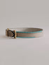 Pintu Dog Collar Monte - Grey/Turquoise - Brass