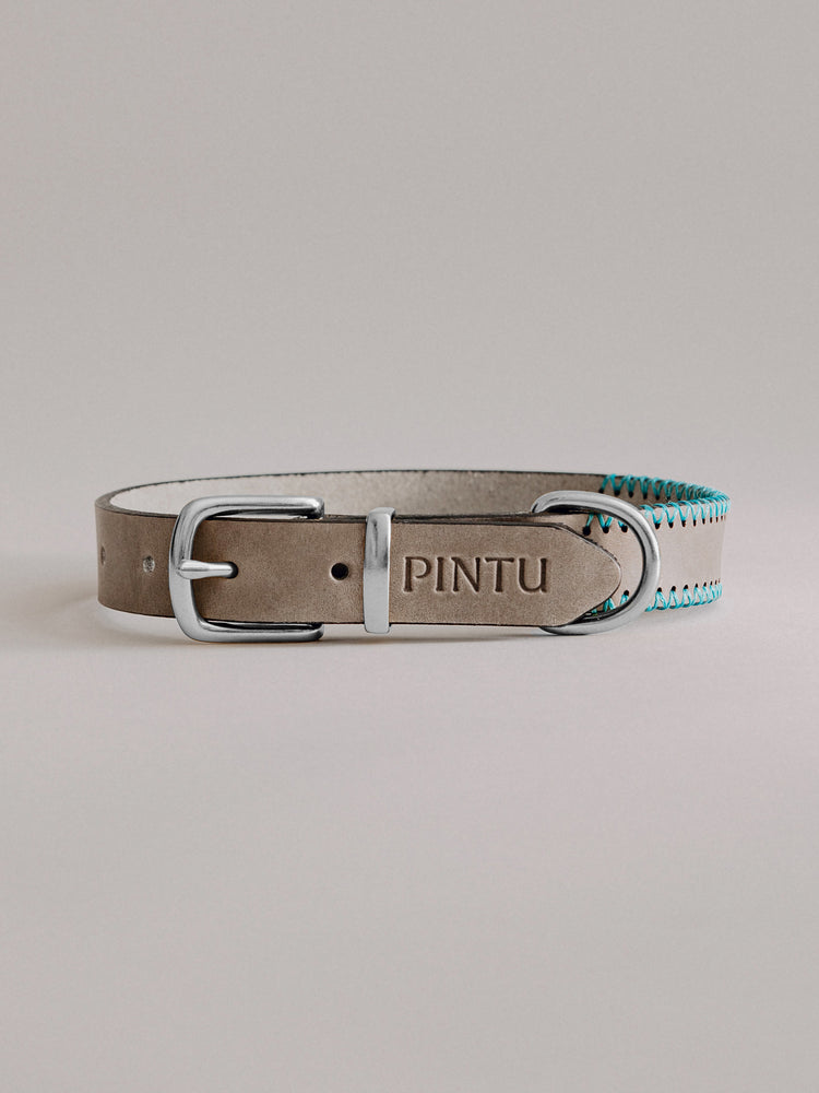 Pintu Dog Collar Monte - Grey/Turquoise - Stainless Steel