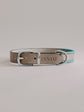 Pintu Dog Collar Monte - Grey/Turquoise - Stainless Steel