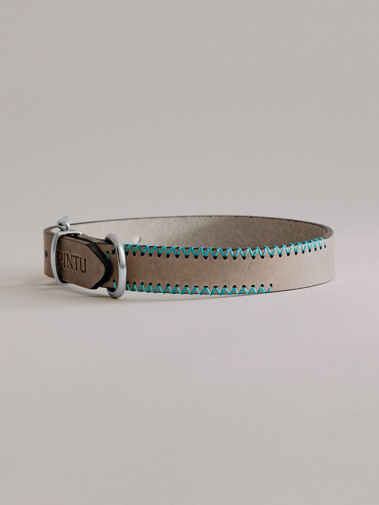 Pintu Dog Collar Monte - Grey/Turquoise - Stainless Steel