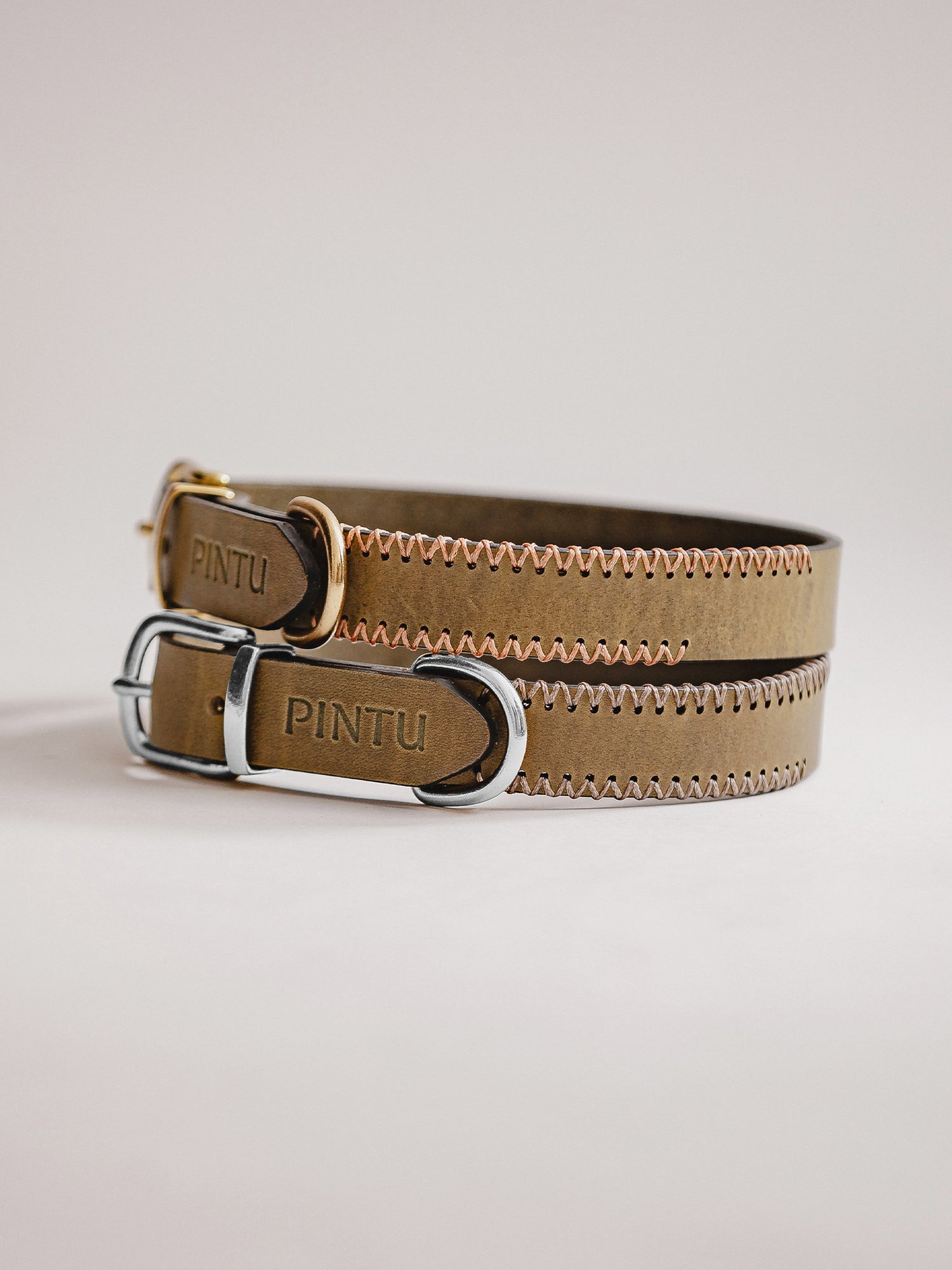 Pintu Dog Collar Porthos - Olive
